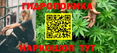 трава Заводоуковск