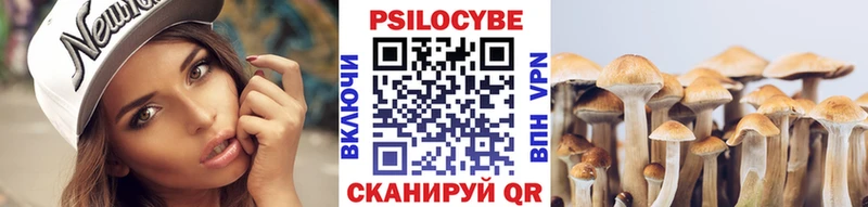 Галлюциногенные грибы Magic Shrooms  Пятигорск 