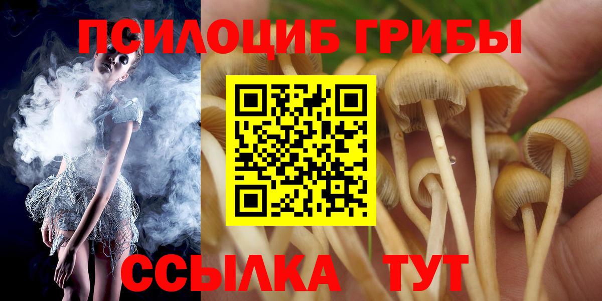 Пятигорск  Галлюциногенные грибы Psilocybine cubensis  Вход с VPN 