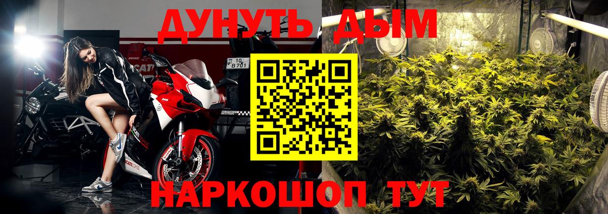 Бошки Шишки сатива Пятигорск